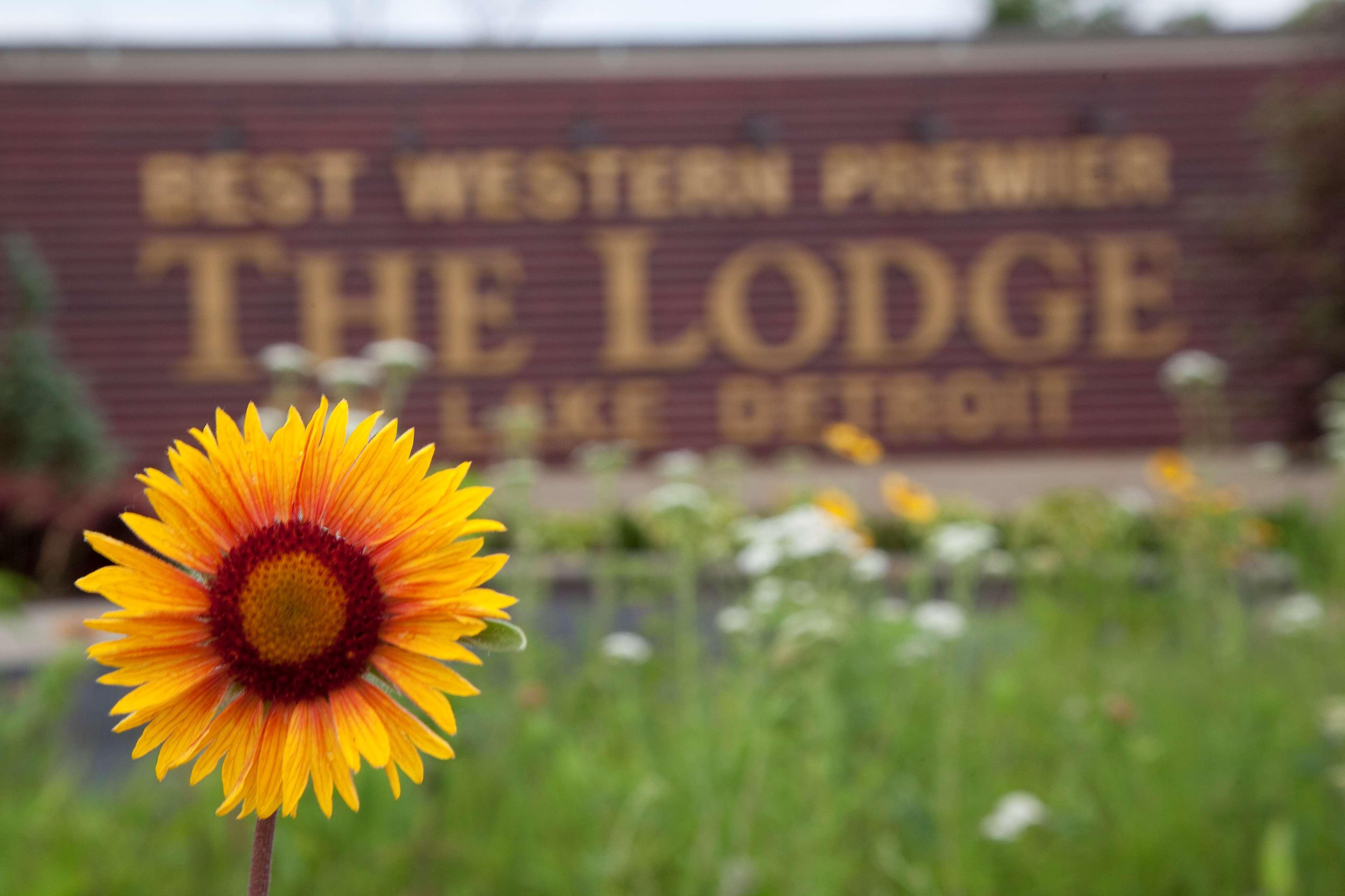 Best Western Premier The Lodge On Lake Detroit Detroit Lakes Eksteriør billede